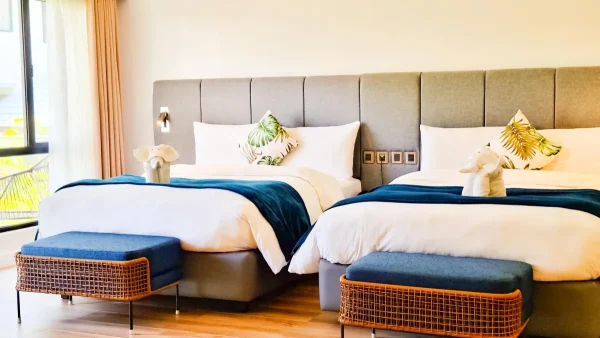 Family Suite - Image 3